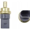 Sensor Temperatura Refrigerante Ect/cts Seat Ibiza 1.2 2016
